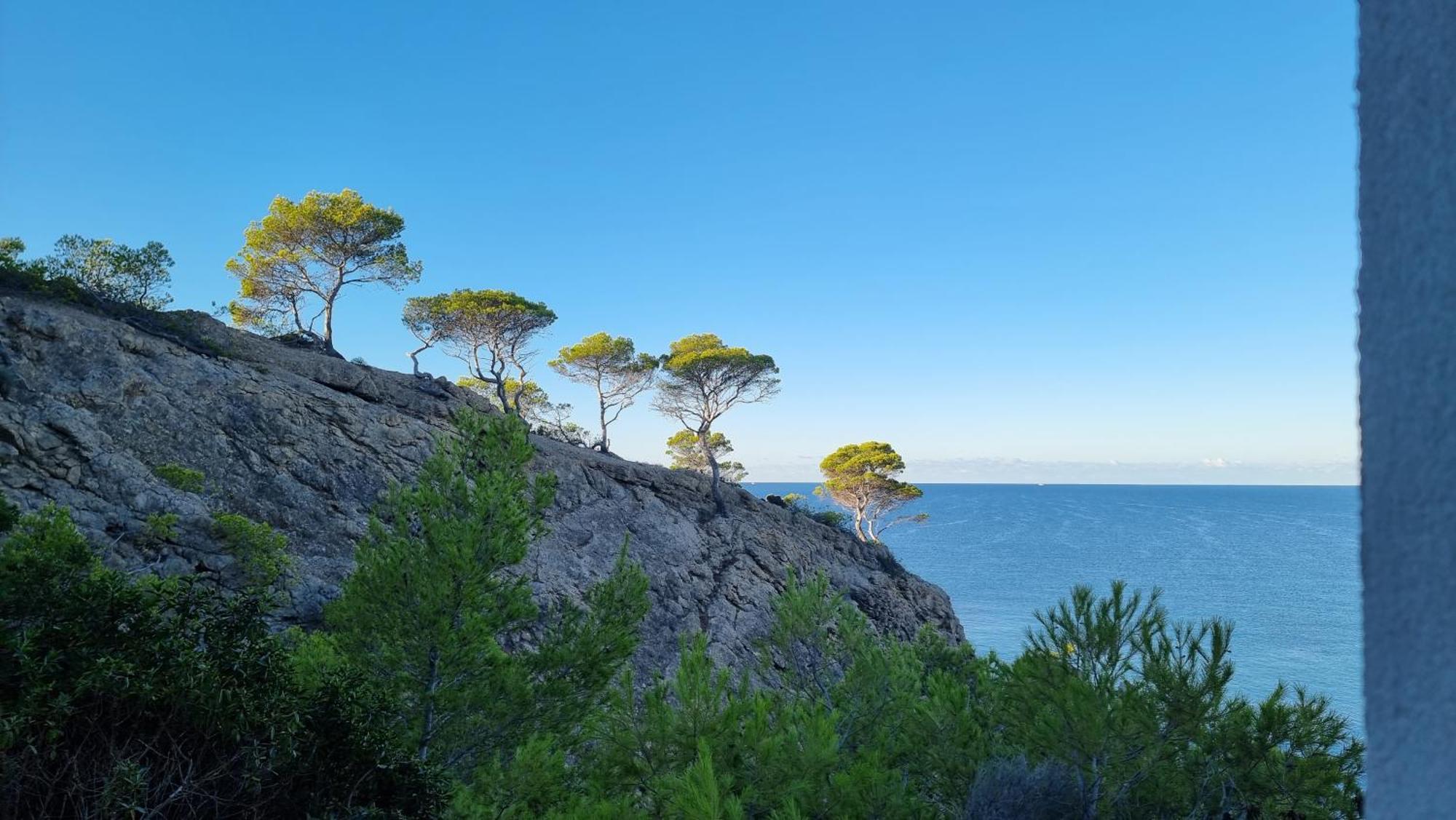 Hapimag Resort Paguera Peguera Eksteriør bilde